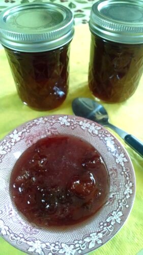Homemade Nectarine Preserves Recipe